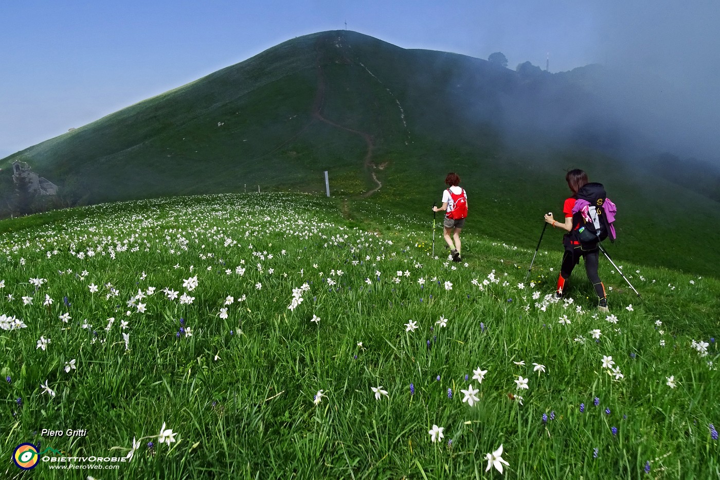 35 Salendo i dossi del Linzone, imbiancati di narcisi con uno sbuffo di nebbia....JPG -                                